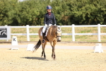 SBM_003590