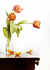 Red tulips, brown table