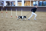 SBM_005715
