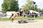 SBM_18212