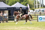SBM_15533