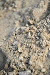 251004A-163912-02153