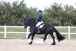 SBM_016716