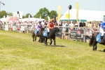 SBM_17302