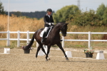 SBM_011059