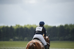 BVHT 140517  IXC -425