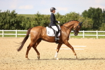 SBM_002877