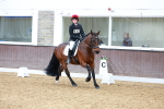 SBM_002409