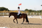 SBM_006974