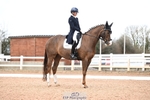 Class 8, FEI Intermediate I Gold portfolio