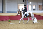 SBM_09166