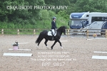 BPP_9817
