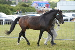 DSC05692