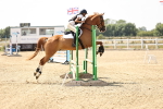 SBM_001761