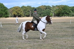 WJ7_6788