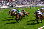 230526-Race 3-Partisan Hero-0429