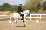 SBM_008499