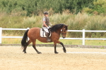 SBM_000503