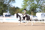 SBM_16732