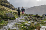 Langdale -414