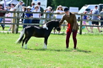 SBM_03658