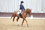 Class 11 - Novice 2 portfolio