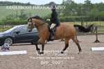 BPP_9993