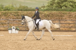 Class 7 - Novice 2 portfolio