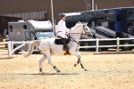 SBM_001813