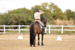 SBM_006391