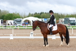SBM_00272