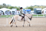 SBM_10736