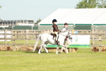 SBM_11035