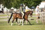 SBM_09747