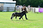 SBM_03427
