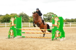 SBM_001880