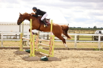 SBM_026937