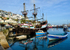 BX38 - Brixham Harbour