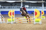 SBM_000956