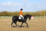SBM_001095