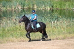 WJ7_8008