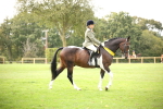 SBM_73609