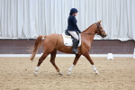 SBM_008232