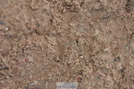 230902A-130832-01384