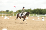 SBM_008669