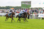 190523-Race 1-Got To Love A Grey-7702