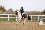 SBM_000808