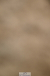 250719A-161248-08127