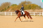 SBM_009323