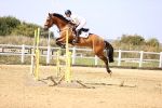 SBM_006783